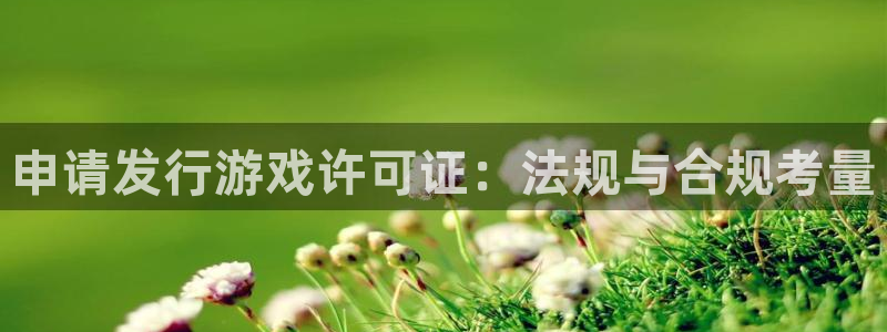 亿万28官网注册地址查询：申请发行游戏许可证：法规与合规考量