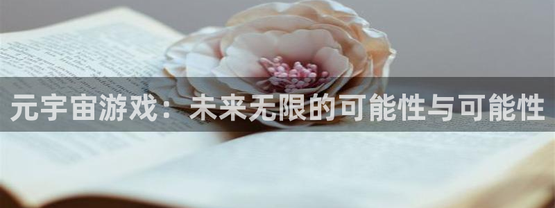 亿万28品牌服装：元宇宙游戏：未来无限的可能性与可能性