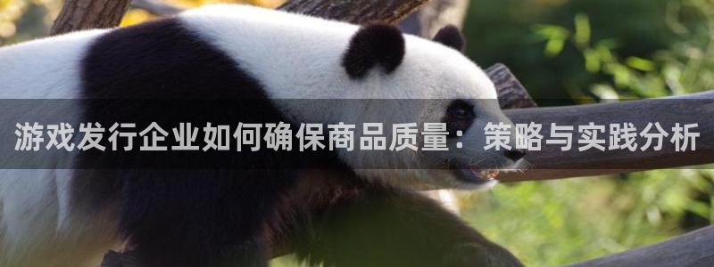 亿万28官网注册平台是什么：游戏发行企业如何确保商品质量：策略与实践分析