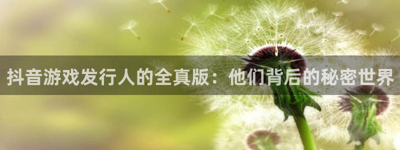 亿万28官网注册方法视频：抖音游戏发行人的全真版：他们背后的秘密世界