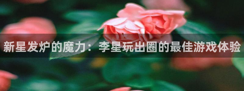 亿万28啤酒怎么样：新星发炉的魔力：李星玩出圈的最佳游戏体验
