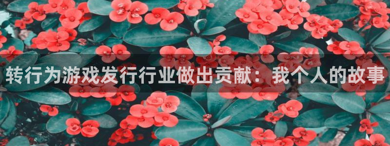 陕西亿万28子文化创意干啥的：转行为游戏发行行业做出贡献：我个人的故事