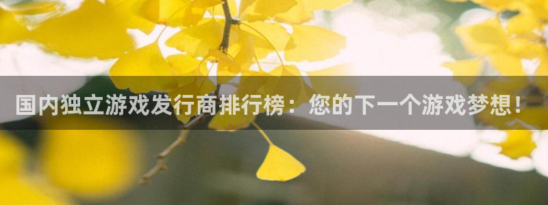 亿万28环境科技有限公司：国内独立游戏发行商排行榜：您的下一个游戏梦想！
