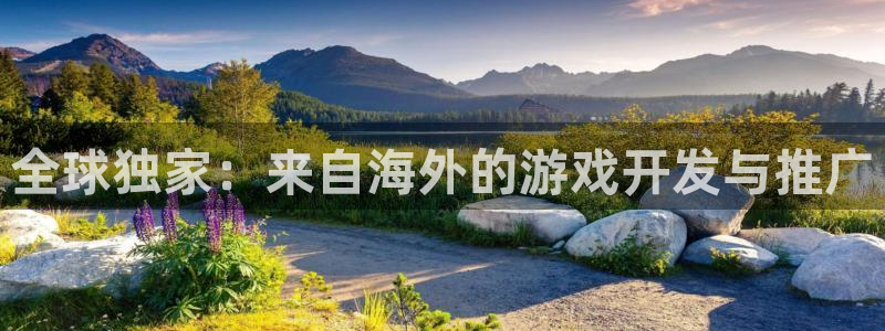 亿万28技术有限公司招聘：全球独家：来自海外的游戏开发与推广