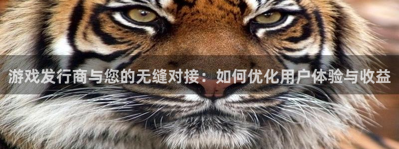 亿万28子图片：游戏发行商与您的无缝对接：如何优化用户体验与收益