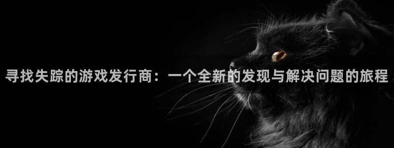 lvnces亿万28衣服价格：寻找失踪的游戏发行商：一个全新的发现与解决问题的旅程