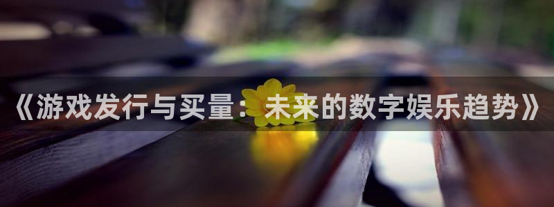 亿万28电子商务有限公司地址：《游戏发行与买量：未来的数字娱乐趋势》