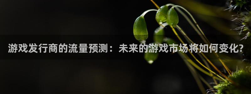 苏州亿万28网络科技有限公司：游戏发行商的流量预测：未来的游戏市场将如何变化?