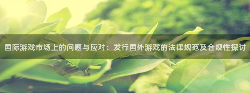 亿万28官网代理注册地址：国际游戏市场上的问题与应对：发行国外游戏的法律规范及合规性探讨