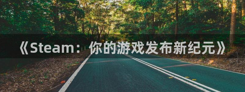陕西亿万28子文化创意有限公司1：《Steam：你的游戏发布新纪元》