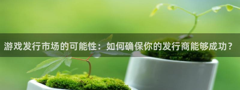 亿万28官网官网注册账号是什么：游戏发行市场的可能性：如何确保你的发行商能够成功？