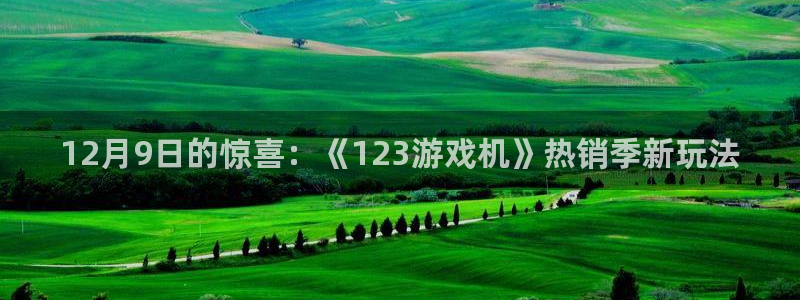 亿万28官网注册平台是什么软件：12月9日的惊喜：《123游戏机》热销季新玩法