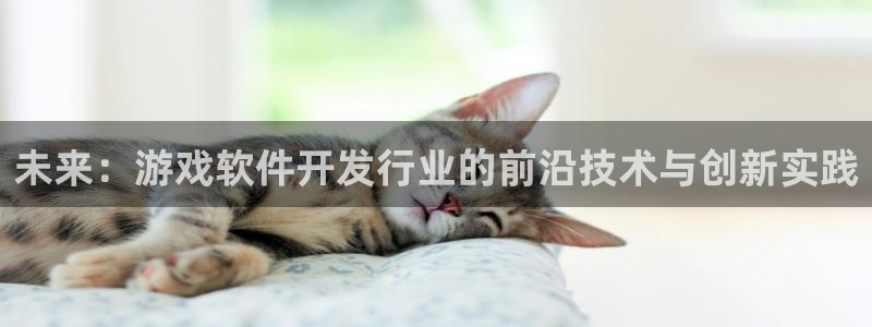 亿万28官网平台代理条件如何：未来：游戏软件开发行业的前沿技术与创新实践