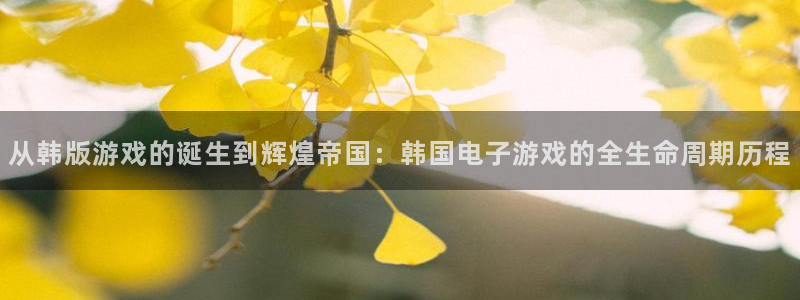 亿万28仓储中心：从韩版游戏的诞生到辉煌帝国：韩国电子游戏的全生命周期历程