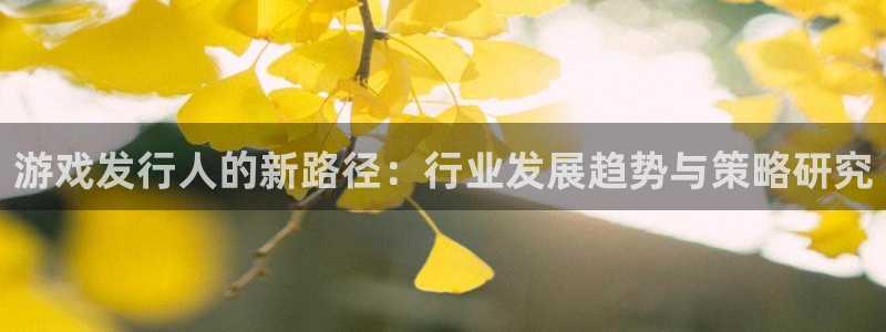亿万28电子商务有限公司招聘：游戏发行人的新路径：行业发展趋势与策略研究