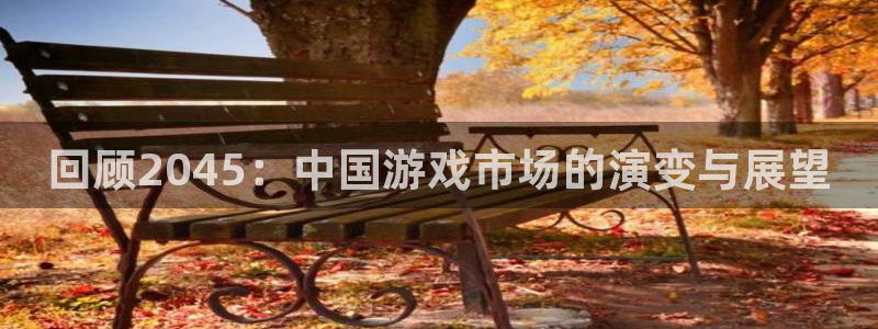 亿万28子最好看的小说：回顾2045：中国游戏市场的演变与展望