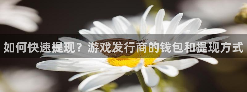 亿万28官网招商主管