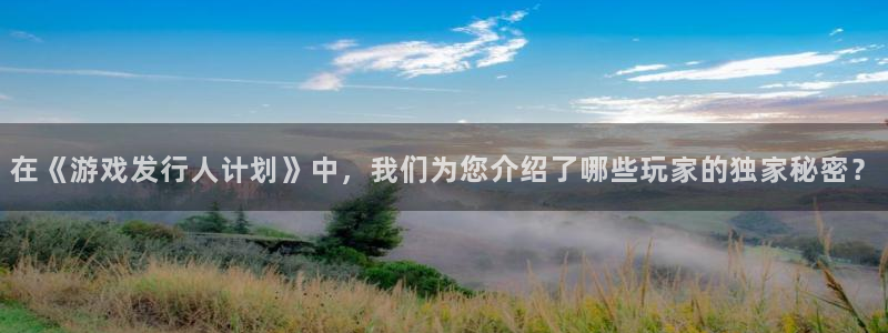 亿万28官网价 5O6917 亿万28：在《游戏发行人计划》中，我们为您介绍了哪些玩家的独家秘密？