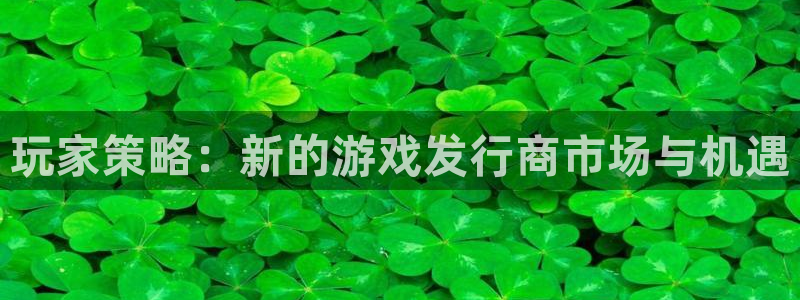 亿万28技术有限公司怎么样：玩家策略：新的游戏发行商市场与机遇