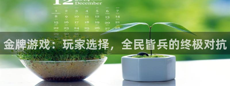 亿万28子财经丛书：金牌游戏：玩家选择，全民皆兵的终极对抗