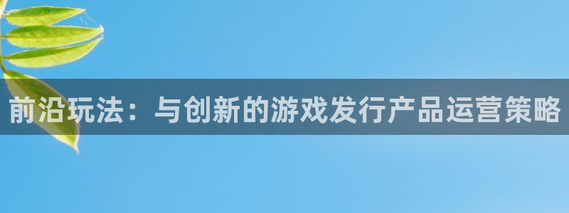 亿万28官网登录注册账号：前沿玩法：与创新的游戏发行产品运营策略