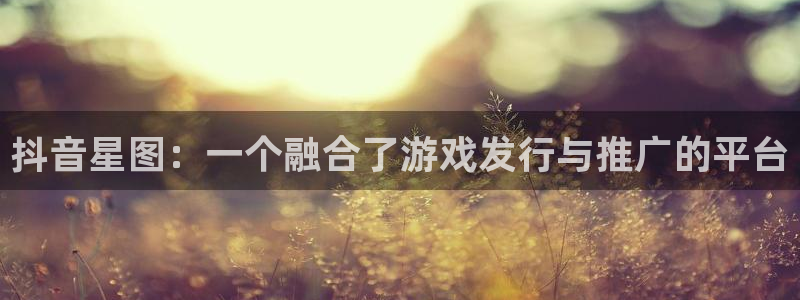 亿万28子的图片：抖音星图：一个融合了游戏发行与推广的平台