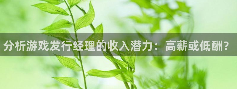 亿万28子写作课：分析游戏发行经理的收入潜力：高薪或低酬？