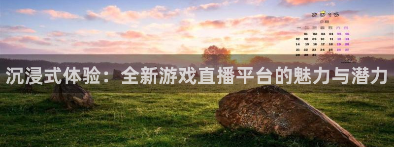 看球吧在线观看：沉浸式体验：全新游戏直播平台的魅力与潜力