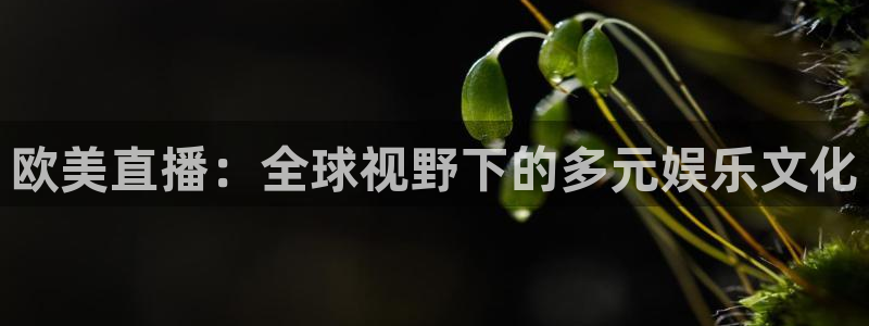 看球吧在线直播：欧美直播：全球视野下的多元娱乐文化
