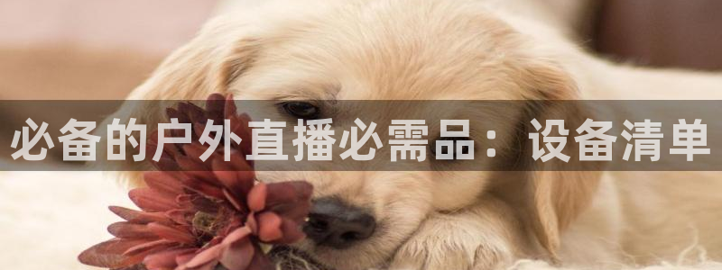 nba视频直播无插件看球吧：必备的户外直播必需品：设备清单