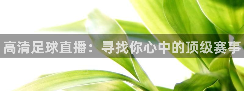 看球吧在线直播：高清足球直播：寻找你心中的顶级赛事
