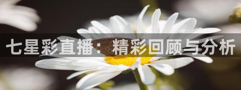 看球吧jrs直播nba：七星彩直播：精彩回顾与分析