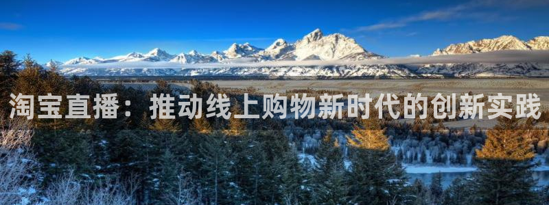 看球吧雨燕直播：淘宝直播：推动线上购物新时代的创新实践