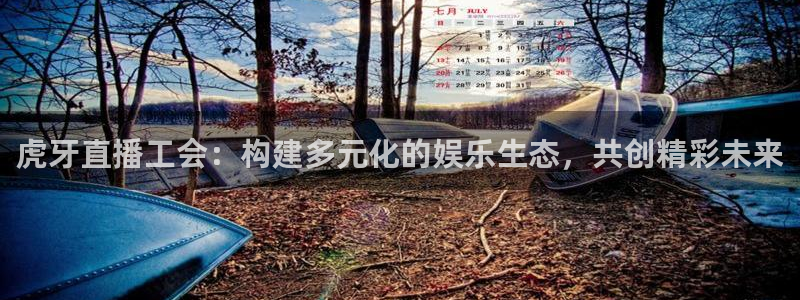 看球吧在线观看免费直播：虎牙直播工会：构建多元化的娱乐生态，共创精彩未来