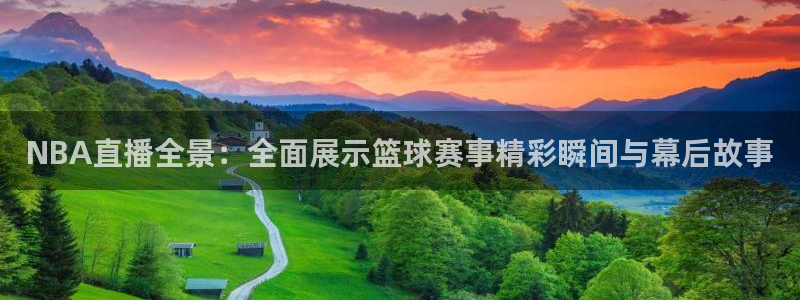 365看球吧直播：NBA直播全景：全面展示篮球赛事精彩瞬间与幕后故事